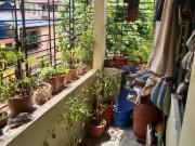 3 BHK Apartment in Garfa for resale South Kolkata. The...