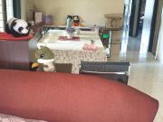 3 BHK Apartment in Ghorpadi for resale Pune. The...