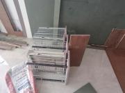 3 BHK Apartment in Gomti Nagar for rent Lucknow. The...