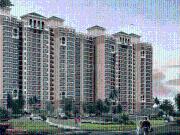 3 BHK Apartment in Gomti Nagar for resale Lucknow. The...