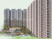 3 BHK Apartment in Hadapsar for resale Pune. The...