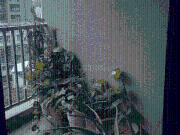 3 BHK Apartment in Harni for rent Vadodara. The...