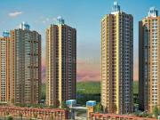 3 BHK Apartment in Hiranandani Estate for rent Thane....