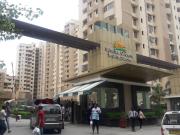 3 BHK Apartment in Indirapuram for rent Ghaziabad. The...