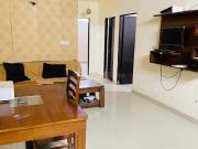 3 BHK Apartment in Jagatpura for rent Jaipur. The...