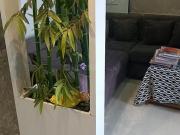 3 BHK Apartment in Kalpataru Nagar for resale Nashik....