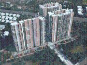 3 BHK Apartment in Kokapet for rent Hyderabad. The...