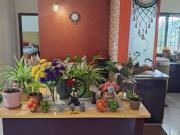 3 BHK Apartment in Kudlu Gate for resale South...