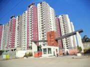 3 BHK Apartment in Kukatpally for rent Hyderabad. The...