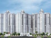 3 BHK Apartment in Kukatpally for rent Hyderabad. The...
