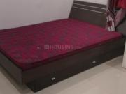 3 BHK Apartment in Kukatpally for rent Hyderabad. The...