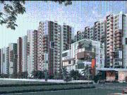 3 BHK Apartment in Kukatpally for resale North...