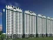 3 BHK Apartment in Kyalasanahalli for rent Bangalore....