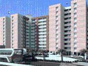 3 BHK Apartment in Lohegaon for resale Pune. The...
