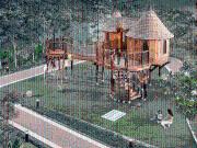 3 BHK Apartment in Lower Parel for rent Mumbai. The...