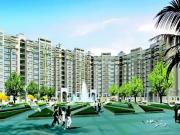 3 BHK Apartment in Mahapura for rent Jaipur. The...
