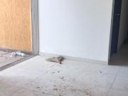 3 BHK Apartment in Marunji for rent Pune. The reference...