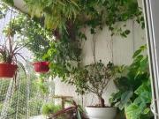 3 BHK Apartment in Mavdi for resale Rajkot. The...