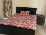 3 BHK Apartment in Mayur Vihar Phase 1 for rent New...