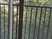 3 BHK Apartment in Mayur Vihar Phase 1 for rent New...