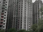 3 BHK Apartment in Miyapur for resale North Hyderabad....