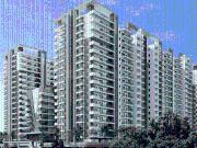 3 BHK Apartment in Miyapur for resale North Hyderabad....