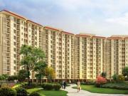 3 BHK Apartment in Mohammadpur Chauki for rent Lucknow....