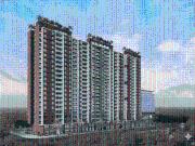 3 BHK Apartment in Moshi for resale Pimpri Chinchwad....