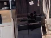 3 BHK Apartment in Mumbai Central for rent Mumbai. The...