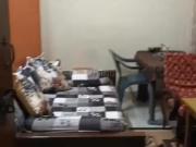 3 BHK Apartment in Nagra Toli for resale Ranchi. The...