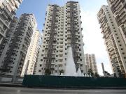 3 BHK Apartment in Nallagandla for rent Hyderabad. The...