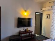 3 BHK Apartment in New Chandigarh for rent Chandigarh....