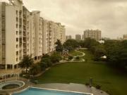 3 BHK Apartment in Nipania for rent Indore. The...