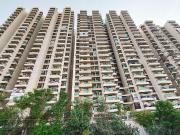 3 BHK Apartment in Noida Extension for rent Greater...
