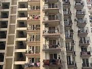 3 BHK Apartment in Noida Extension for rent Greater...