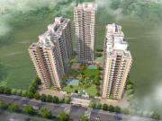 3 BHK Apartment in Noida Extension for rent Greater...