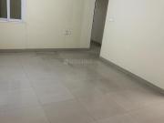 3 BHK Apartment in Noida Extension for rent Greater...
