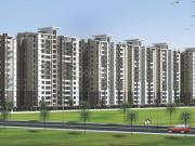 3 BHK Apartment in Panchyawala for rent Jaipur. The...