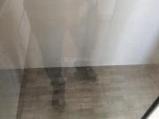 3 BHK Apartment in Pashan for rent Pune. The reference...