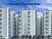 3 BHK Apartment in Patighanpur for resale Hyderabad. The...