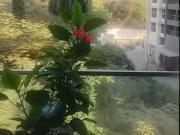 3 BHK Apartment in Powai for rent Mumbai. The reference...
