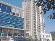 3 BHK Apartment in Punawale for rent Pune. The reference...