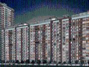 3 BHK Apartment in Punawale for resale Pune. The...