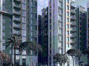 3 BHK Apartment in Rajarhat for rent Kolkata. The...