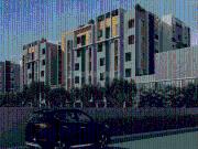 3 BHK Apartment in Ramapuram for resale Chennai South....