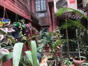 3 BHK Apartment in Richmond Town for rent Bangalore. The...