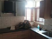3 BHK Apartment in Sector 109 for resale Dwarka...