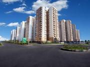 3 BHK Apartment in Sector 134 for rent Noida. The...