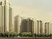 3 BHK Apartment in Sector 43 for rent Gurgaon. The...
