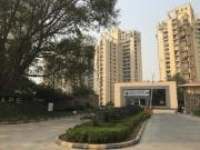 3 BHK Apartment in Sector 50 for rent Gurgaon. The...